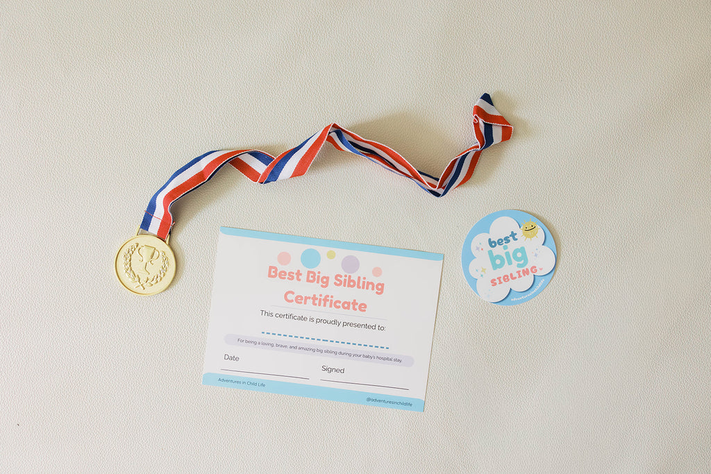 NICU Sibling Kit | Big Brother Big Sister Gift | NICU Family Support Box | Child Life Specialist Designed